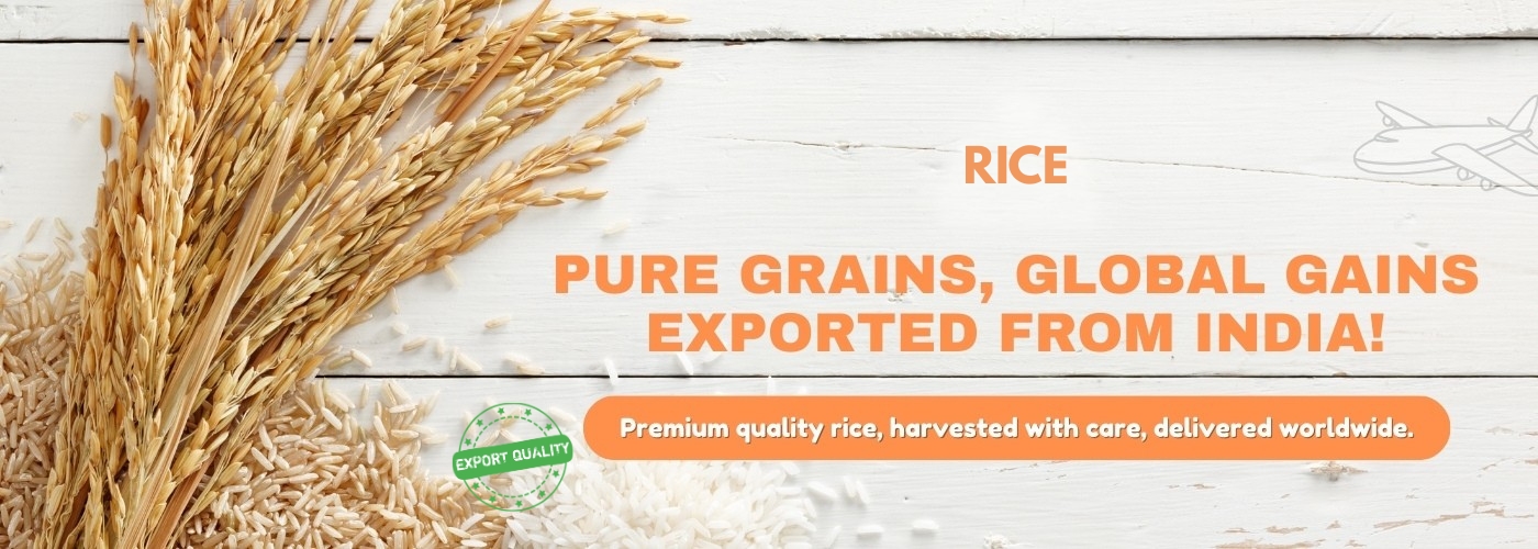 rice-export-india